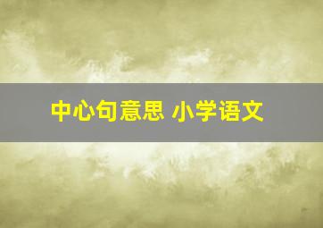 中心句意思 小学语文